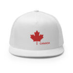 5-panel-trucker-cap-black-white-front-60b14a1716777.jpg