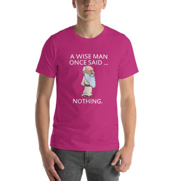 unisex-staple-t-shirt-berry-front-630fc84a6f305.jpg