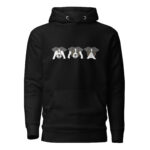 unisex-premium-hoodie-black-front-6356f1afc64fd.jpg