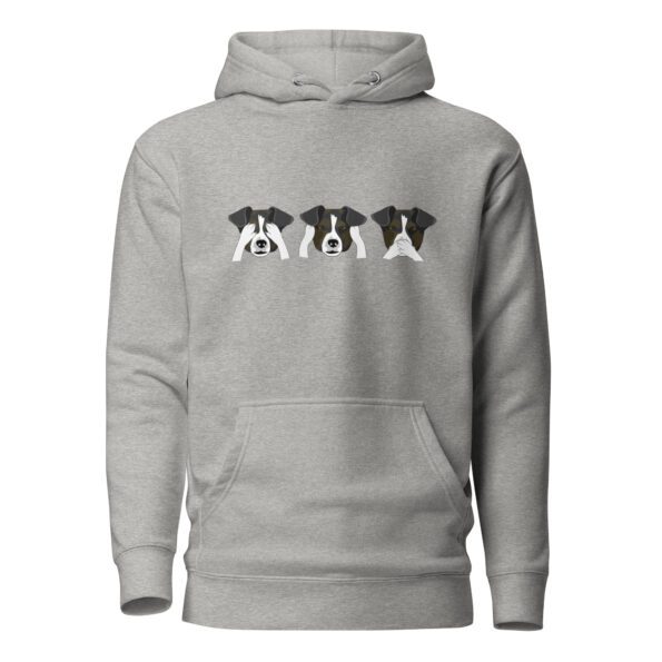 unisex-premium-hoodie-carbon-grey-front-6356f1afc8ebc.jpg