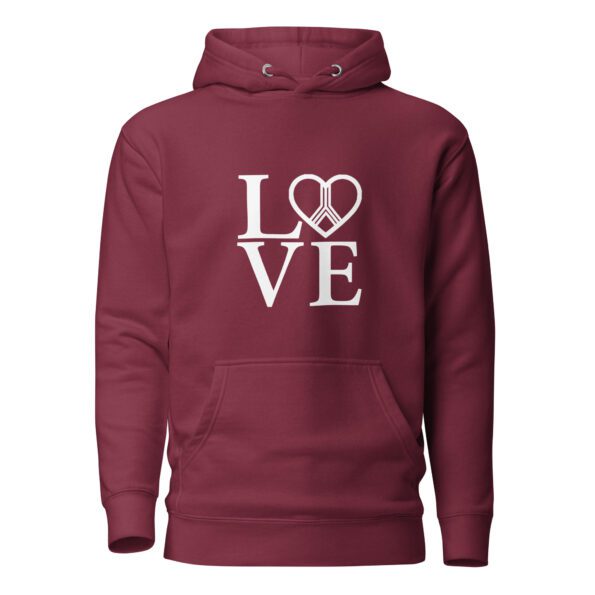 unisex-premium-hoodie-maroon-front-6356f05a2de68.jpg