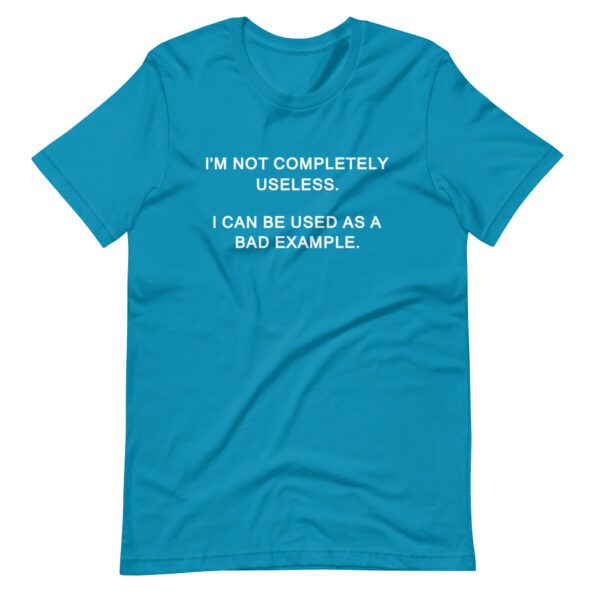 unisex-staple-t-shirt-aqua-front-635210cd204a9.jpg