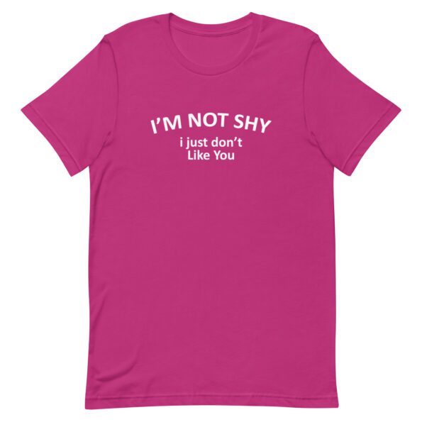 unisex-staple-t-shirt-berry-front-63587d98d992d.jpg