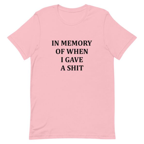 unisex-staple-t-shirt-pink-front-635874f5a19ce.jpg
