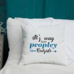 all-over-print-premium-pillow-22×22-front-lifestyle-1-6362b93cdf810.jpg