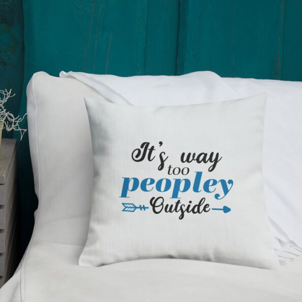 all-over-print-premium-pillow-18×18-front-lifestyle-4-6362b93ce0172.jpg