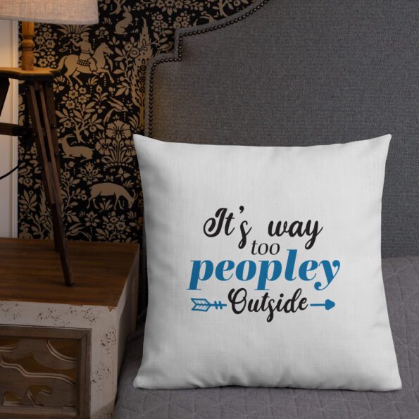 all-over-print-premium-pillow-22×22-front-lifestyle-2-6362b93ce06c0.jpg
