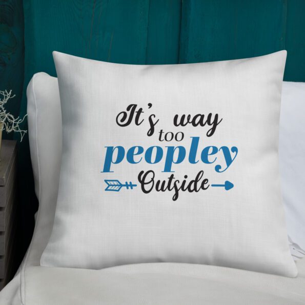 all-over-print-premium-pillow-22×22-front-lifestyle-4-6362b93ce0859.jpg
