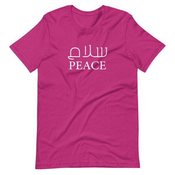 unisex-staple-t-shirt-berry-front-63b7457da2da3.jpg