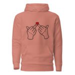 unisex-premium-hoodie-sky-blue-front-6467ab864b816.jpg
