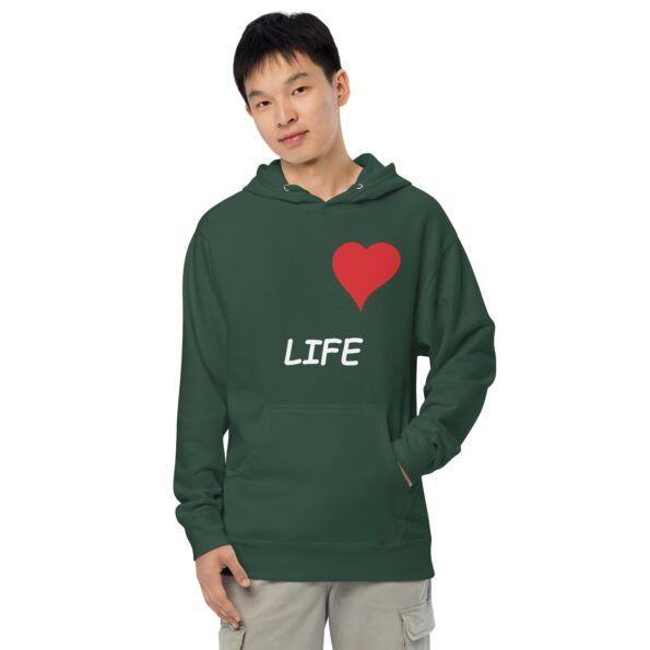 unisex-midweight-hoodie-alpine-green-front-653964307570d.jpg
