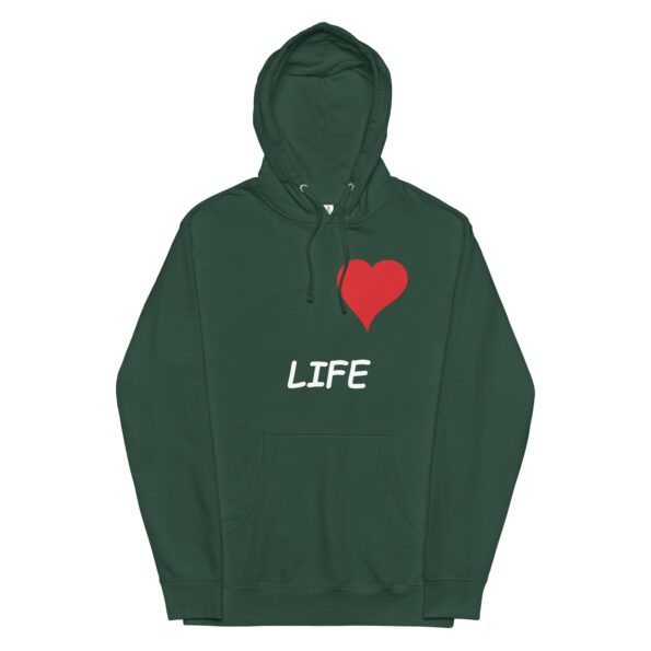 unisex-midweight-hoodie-alpine-green-front-65396430759ea.jpg