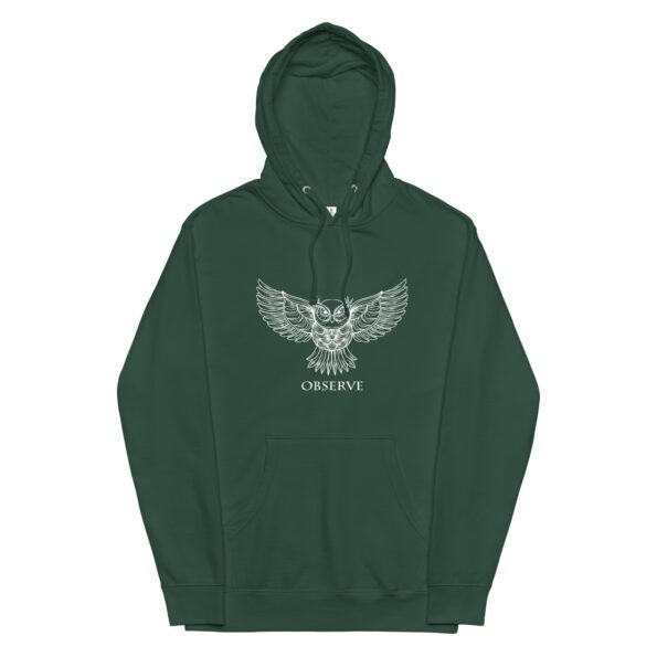 unisex-midweight-hoodie-alpine-green-front-6539658040d88.jpg