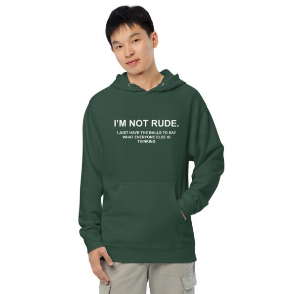 unisex-midweight-hoodie-alpine-green-front-65396b9cebc9d.jpg