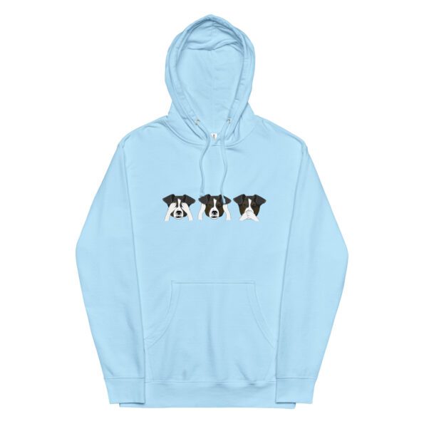 unisex-midweight-hoodie-blue-aqua-front-65396aa3b6471.jpg