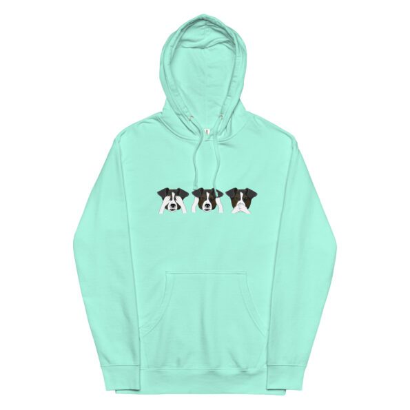 unisex-midweight-hoodie-mint-front-65396aa3b66bb.jpg