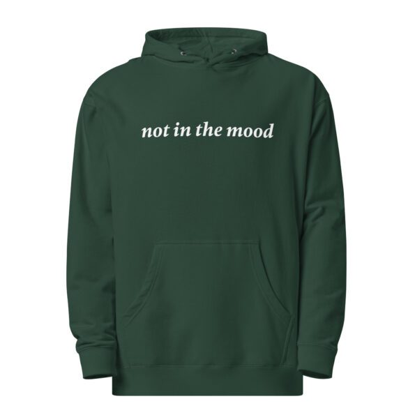 unisex-midweight-hoodie-alpine-green-front-65b02adc68ac5.jpg