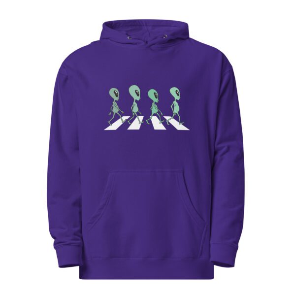 unisex-midweight-hoodie-purple-front-65d7a22dda34d.jpg