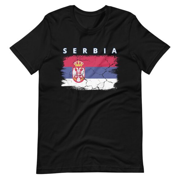 unisex-staple-t-shirt-black-front-665a26506466f.jpg