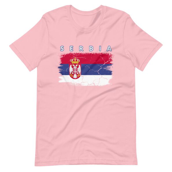 unisex-staple-t-shirt-pink-front-665a26506b494.jpg