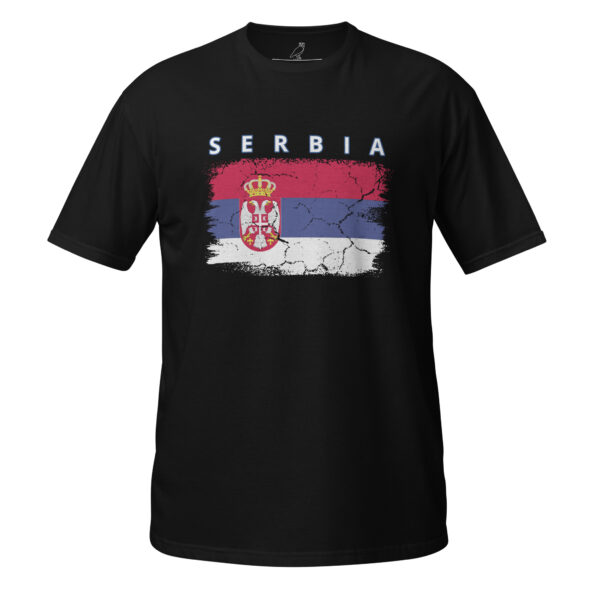 unisex-basic-softstyle-t-shirt-black-front-68da75d710510.jpg