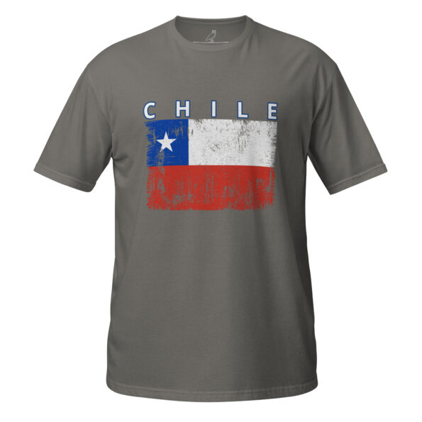 unisex-basic-softstyle-t-shirt-charcoal-front-68da74b1ef69a.jpg