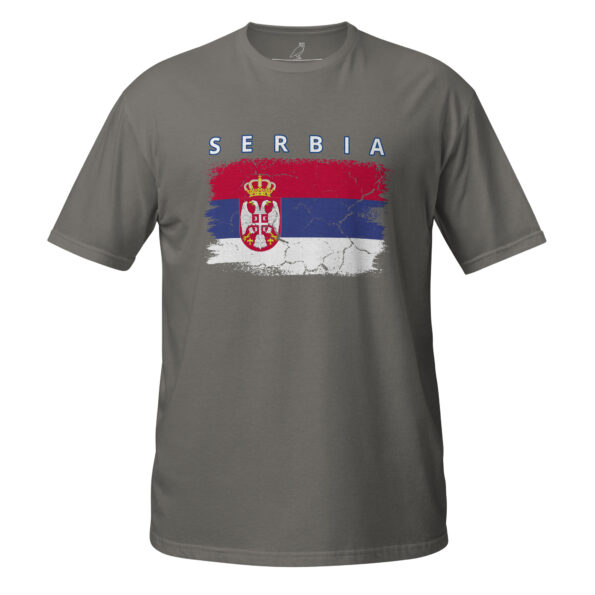 unisex-basic-softstyle-t-shirt-charcoal-front-68da75d7184c5.jpg