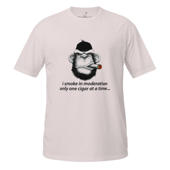 unisex-basic-softstyle-t-shirt-ice-grey-front-68cfd6cdbb98f.jpg