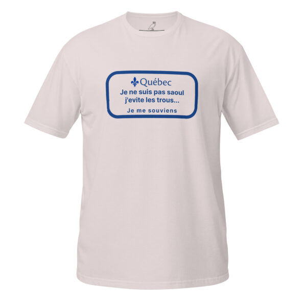 unisex-basic-softstyle-t-shirt-ice-grey-front-68d28f6d6f440.jpg