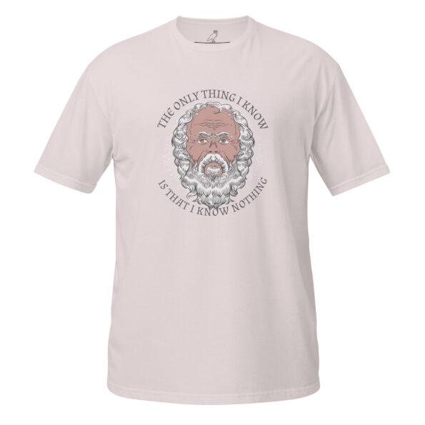 unisex-basic-softstyle-t-shirt-ice-grey-front-68d3d66666a83.jpg