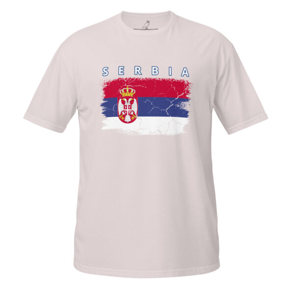 unisex-basic-softstyle-t-shirt-ice-grey-front-68da75d73a477.jpg