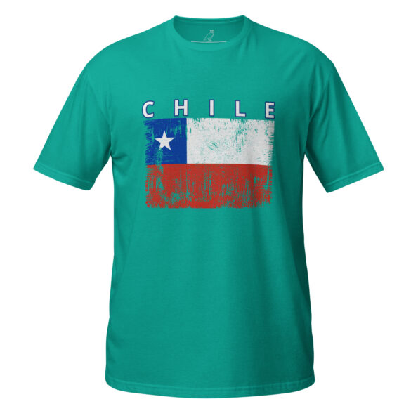 unisex-basic-softstyle-t-shirt-jade-dome-front-68da74b20343e.jpg