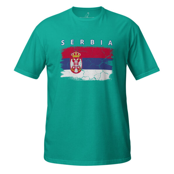 unisex-basic-softstyle-t-shirt-jade-dome-front-68da75d7212dc.jpg