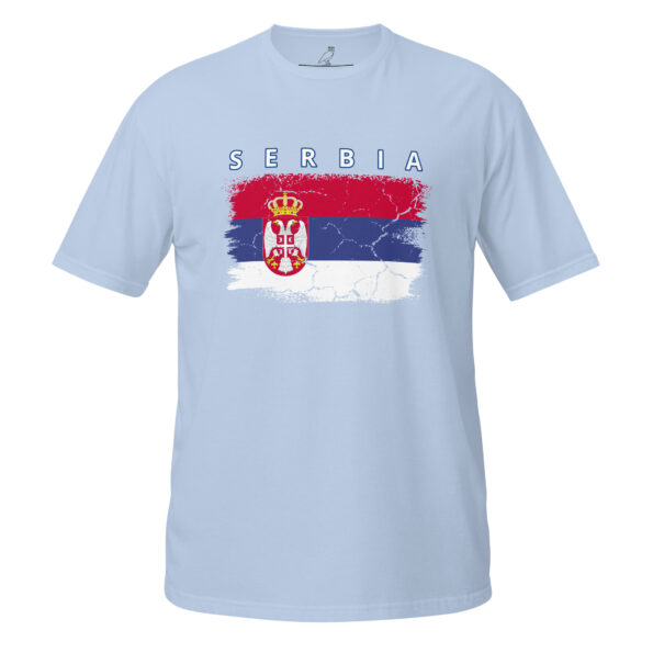 unisex-basic-softstyle-t-shirt-light-blue-front-68da75d72c31d.jpg