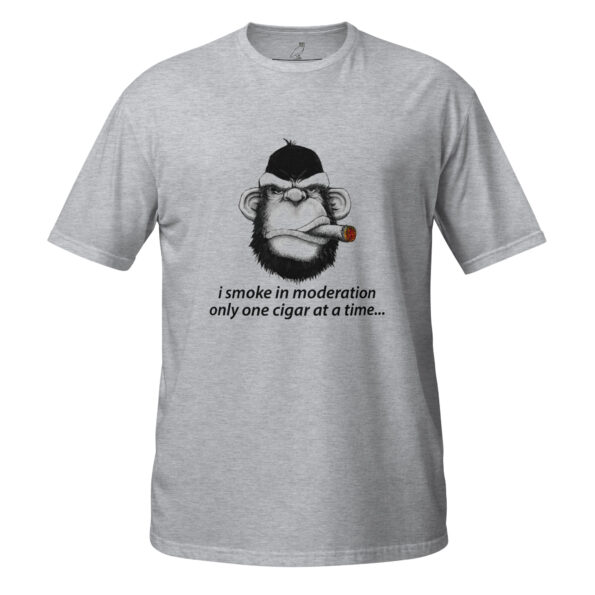 unisex-basic-softstyle-t-shirt-sport-grey-front-68cfd6cdba6c2.jpg