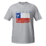 unisex-basic-softstyle-t-shirt-sport-grey-front-68da74b1e03af.jpg