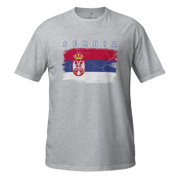 unisex-basic-softstyle-t-shirt-sport-grey-front-68da75d732de3.jpg