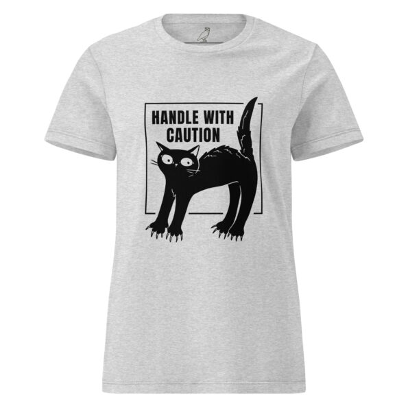 womens-basic-softstyle-t-shirt-rs-sport-grey-front-68c559927dccf.jpg
