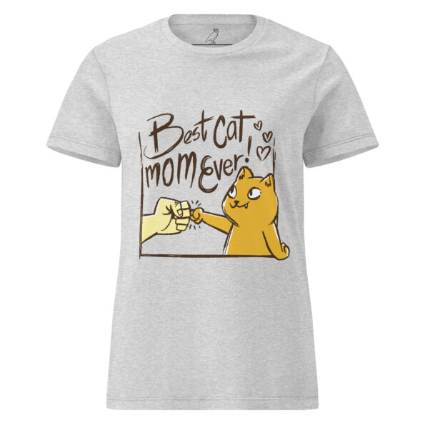 womens-basic-softstyle-t-shirt-rs-sport-grey-front-68c6974fdeb90.jpg